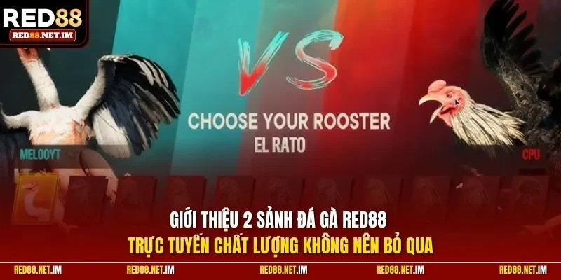 Giới thiệu 2 sảnh đá gà Red88 trực tuyến chất lượng không nên bỏ qua